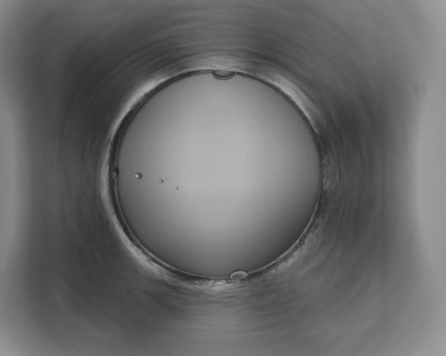 X0000111161139200907141356