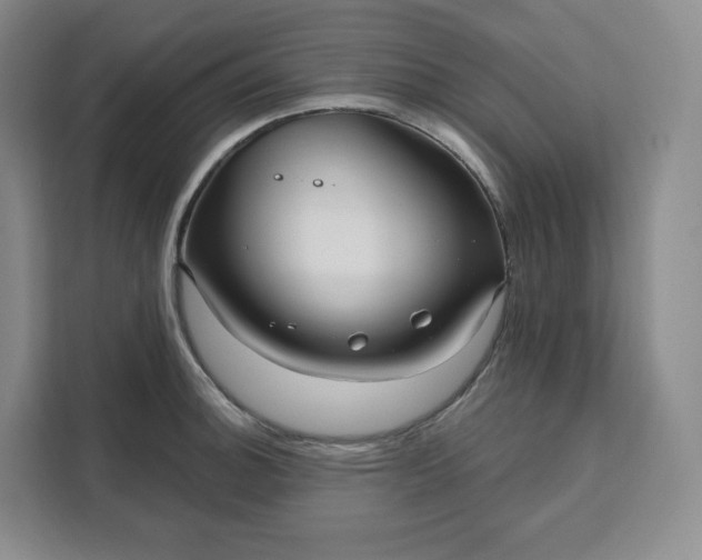 X0000111161140200907141356