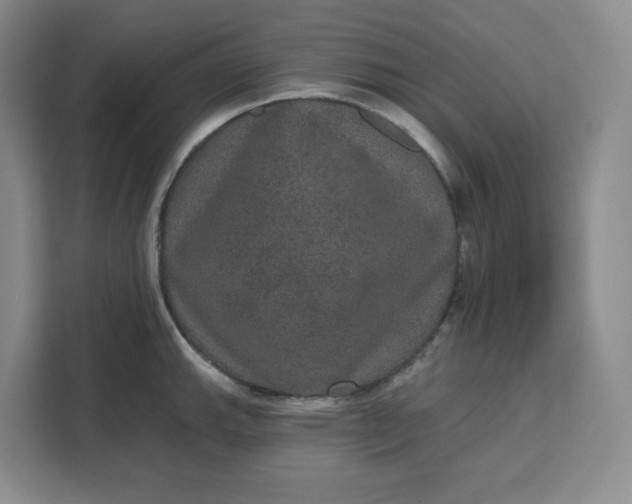 X0000111161143200907141356