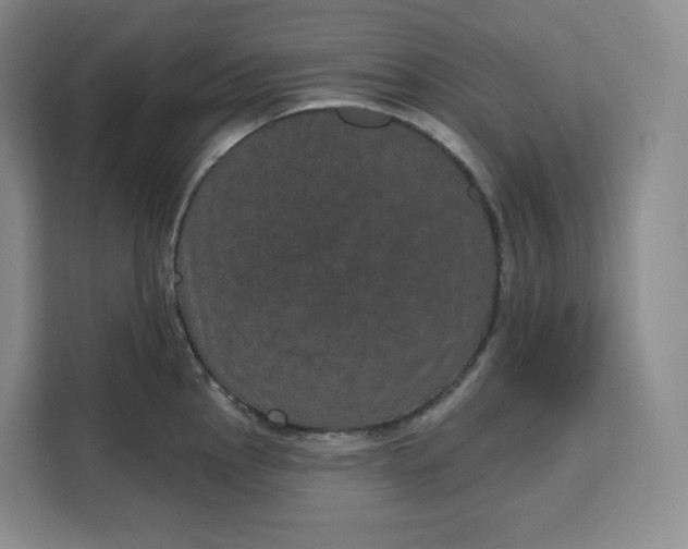 X0000111161145200907141356