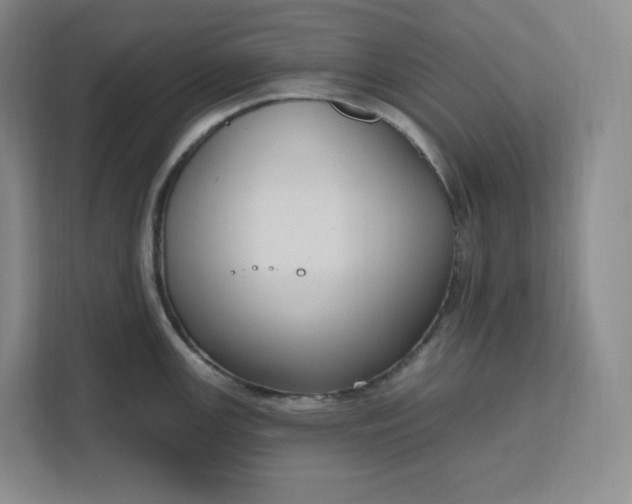X0000111161147200907141356