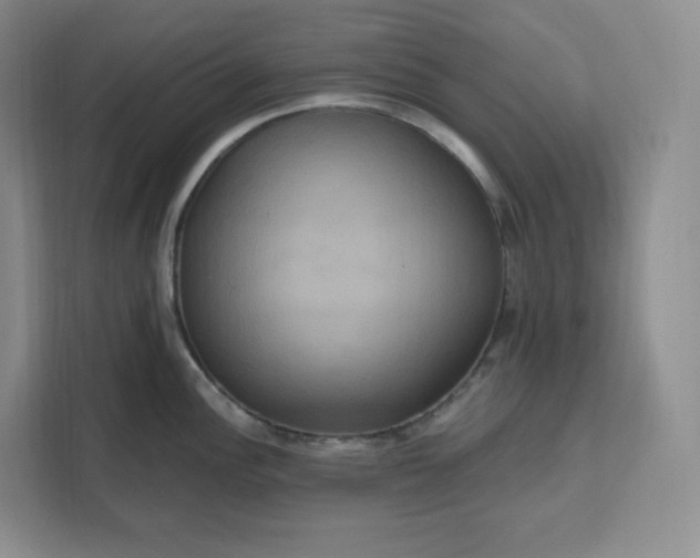 X0000111161148200907141356