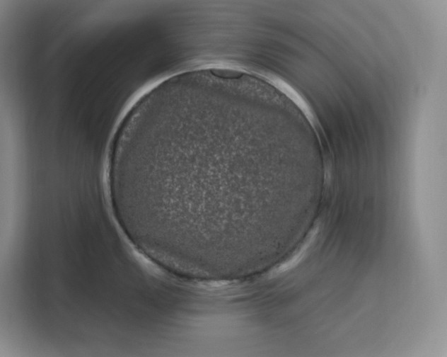 X0000111161149200907141356