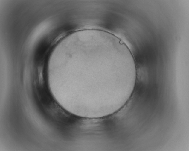 X0000111161150200907141356