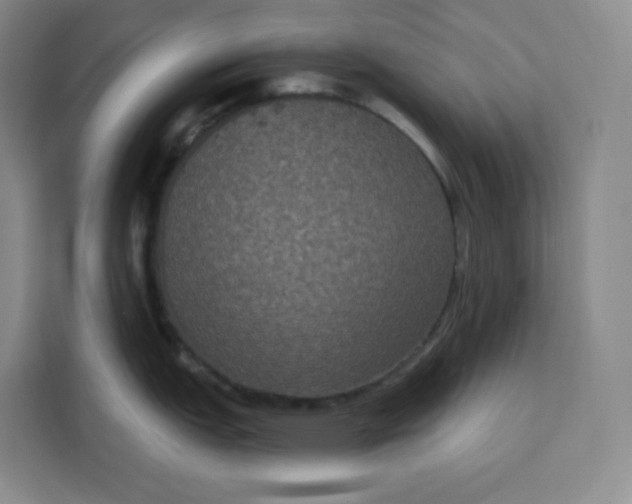 X0000111161151200907141356