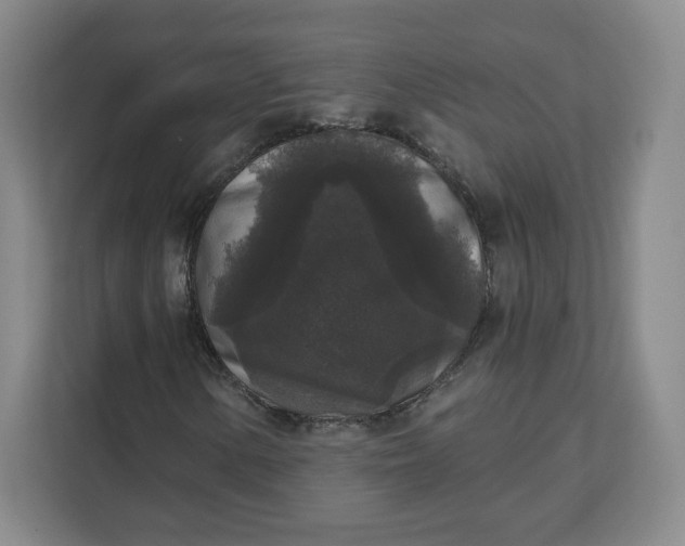 X0000111161154200907141356