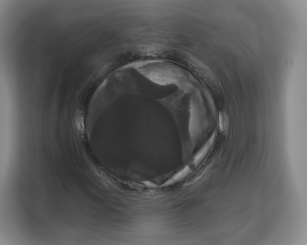 X0000111161155200907141356