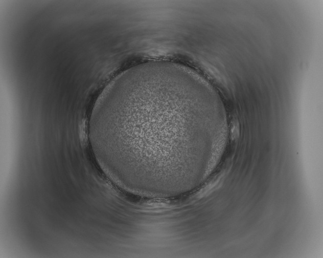 X0000111161156200907141355