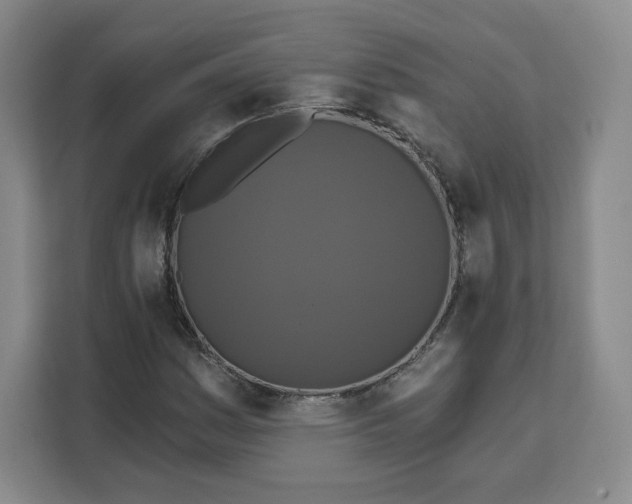 X0000111161161200907141355