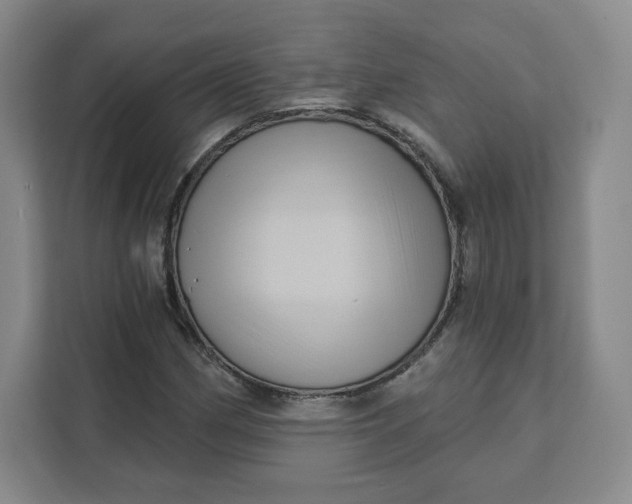 X0000111161162200907141355
