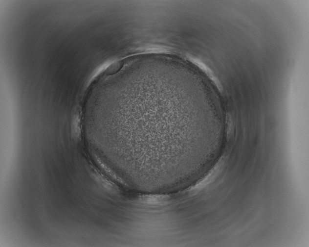 X0000111161163200907141355