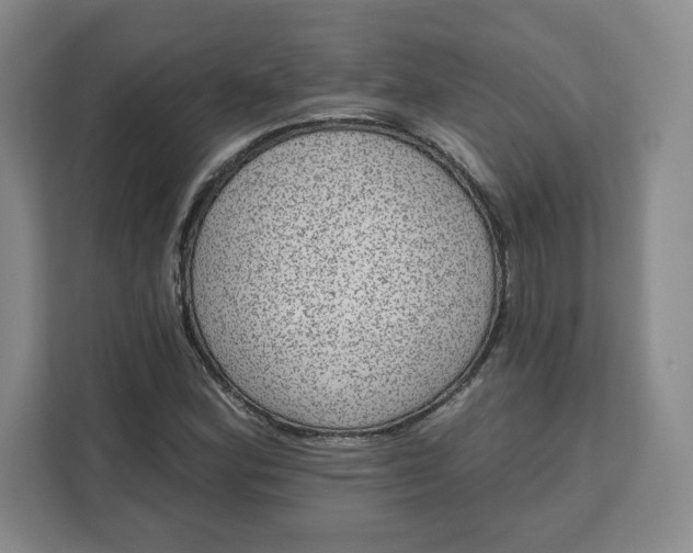 X0000111161164200907141355