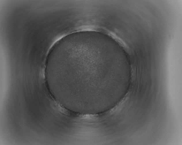 X0000111161166200907141355