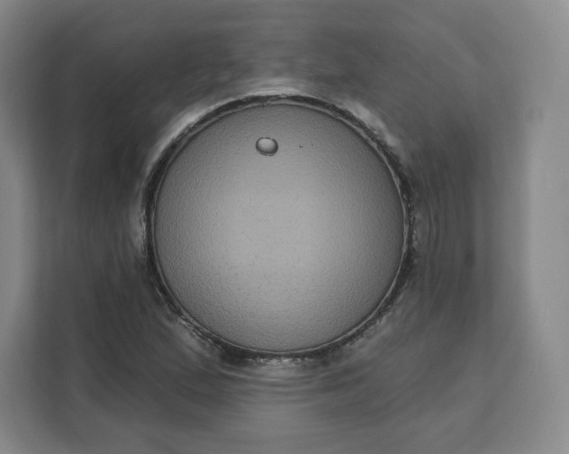 X0000111161167200907141355