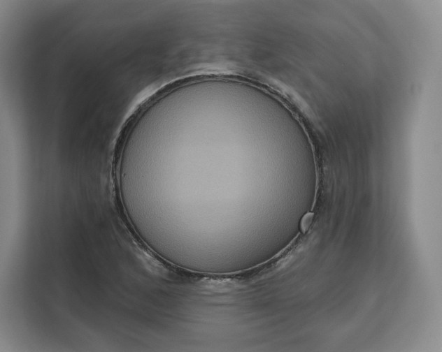 X0000111161168200907141355
