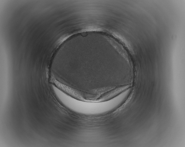X0000111161169200907141355