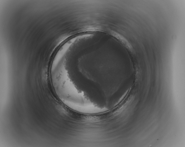 X0000111161170200907141355