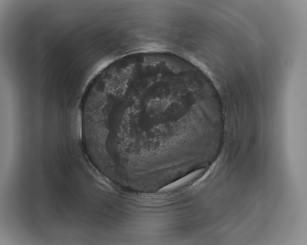 X0000111161171200907141355