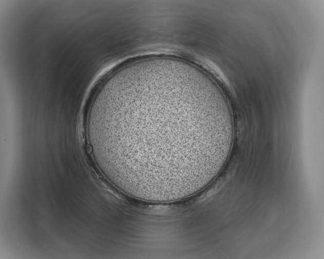 X0000111161172200907141355