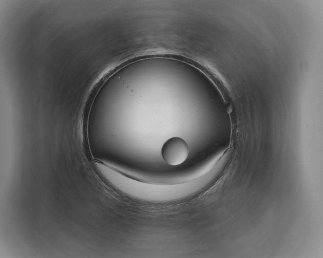 X0000111161173200907141355