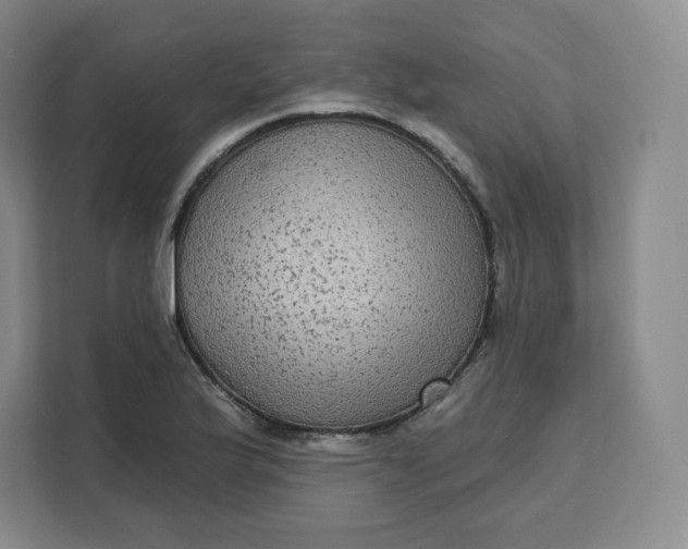 X0000111161175200907141355