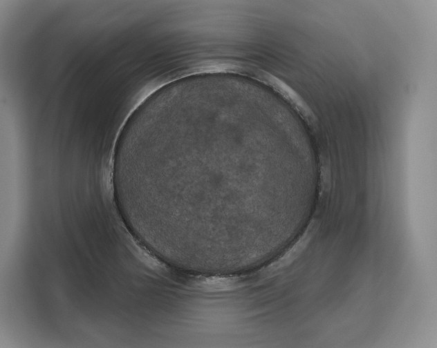 X0000111161178200907141355