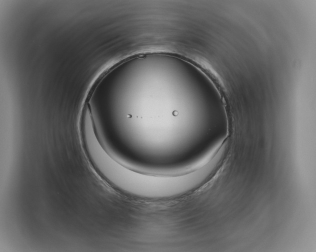 X0000111161181200907141355