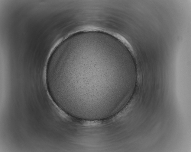 X0000111161183200907141355