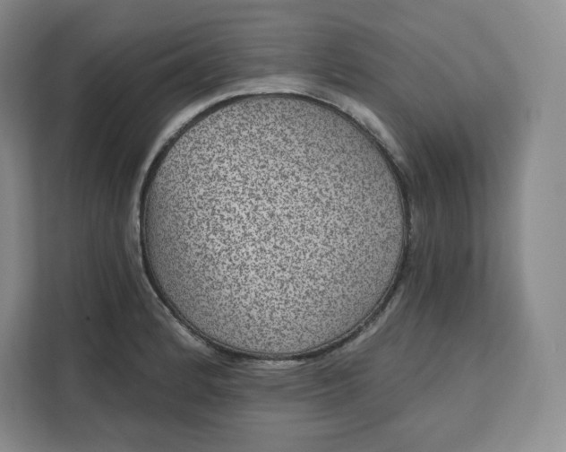 X0000111161184200907141355