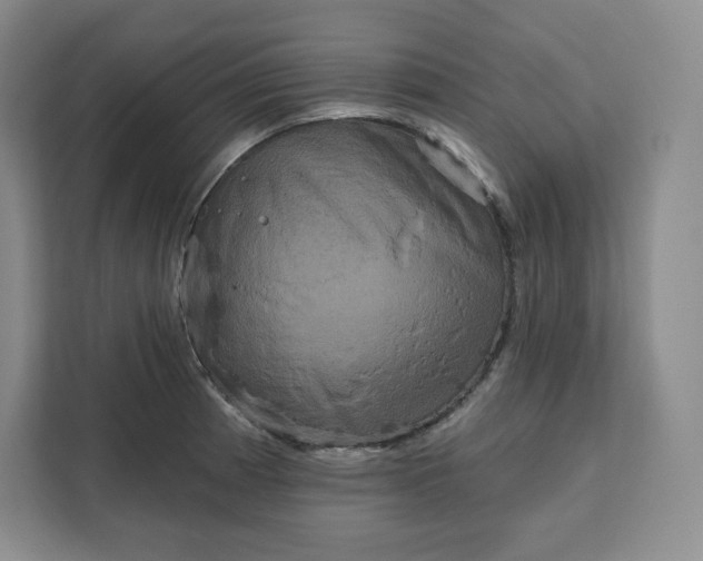X0000111161185200907141355