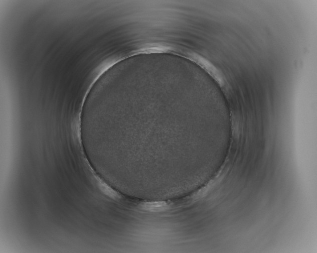 X0000111161186200907141355