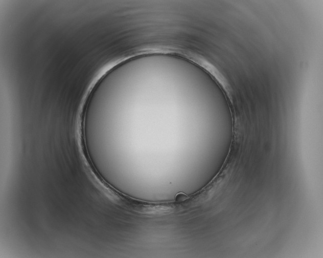 X0000111161187200907141355