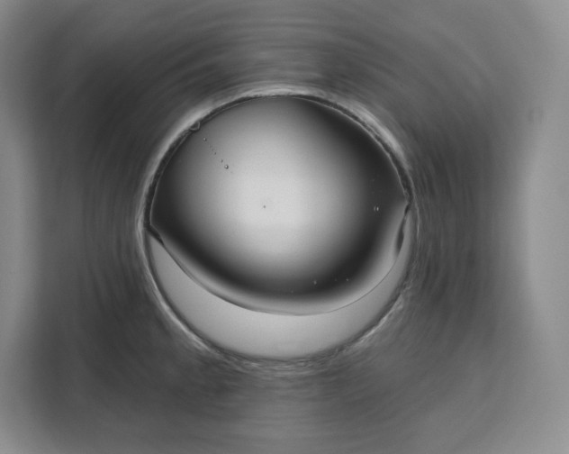 X0000111161189200907141355