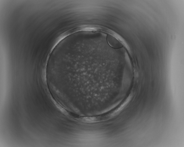 X0000111161194200907141355