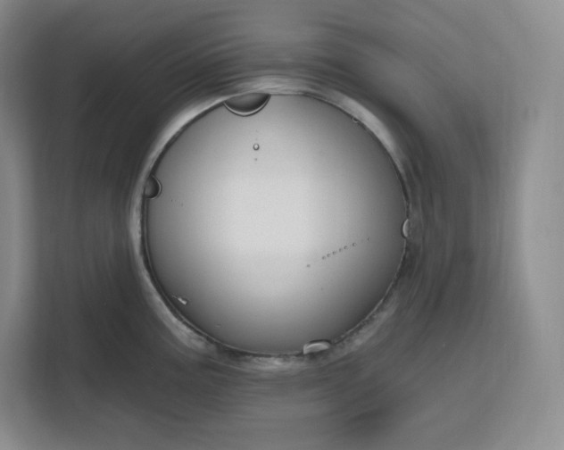 X0000111161195200907141355