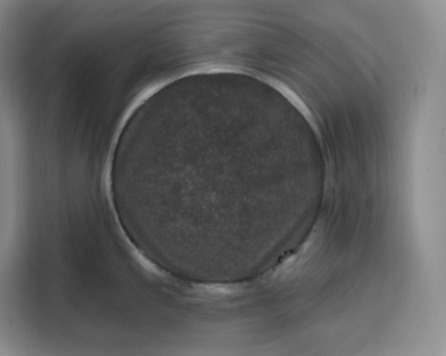 X0000111161197200907141355