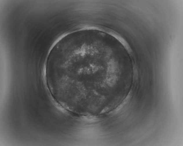 X0000111161198200907141355