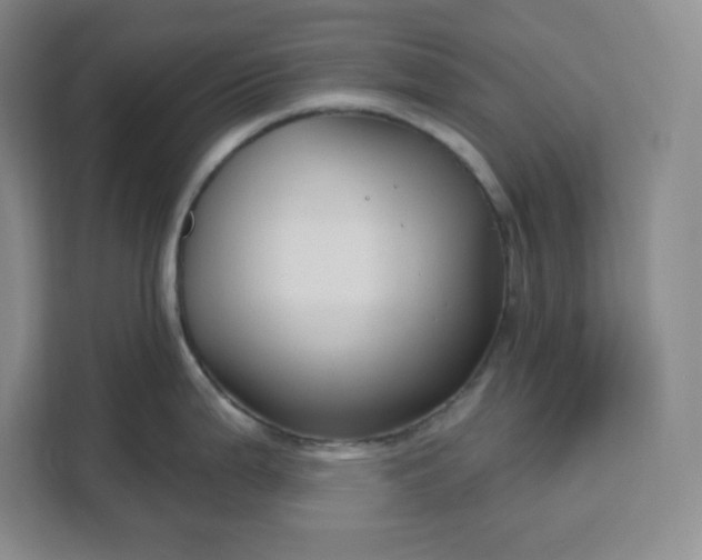 X0000111161199200907141355