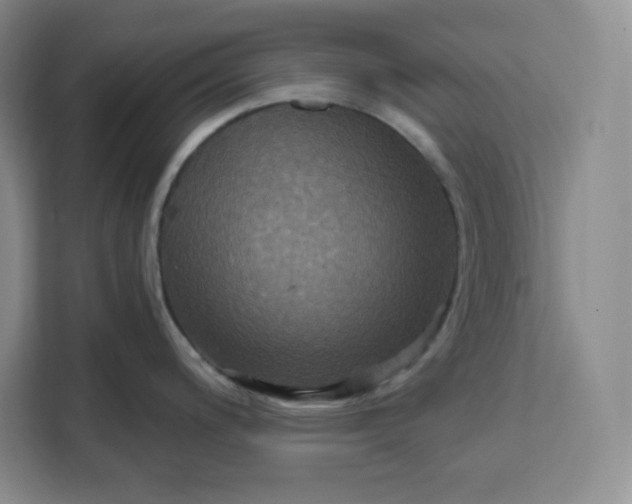 X0000111161200200907141355