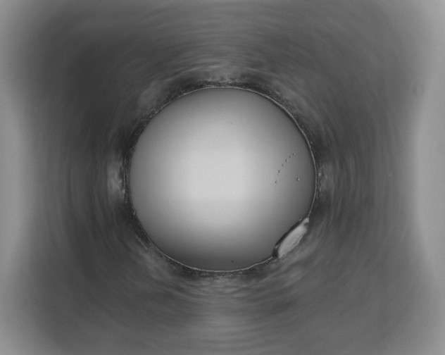 X0000111161202200907141354