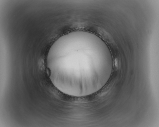 X0000111161203200907141354