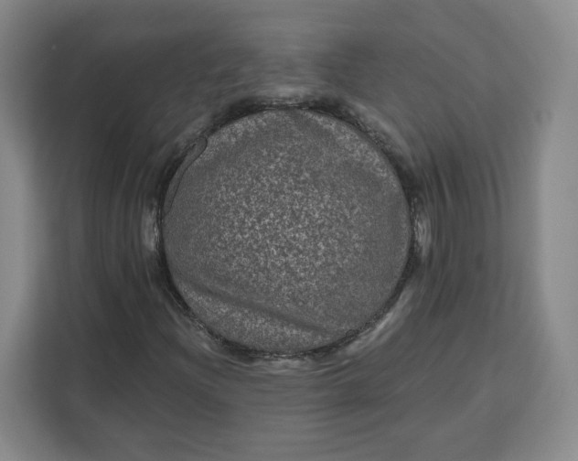 X0000111161204200907141354