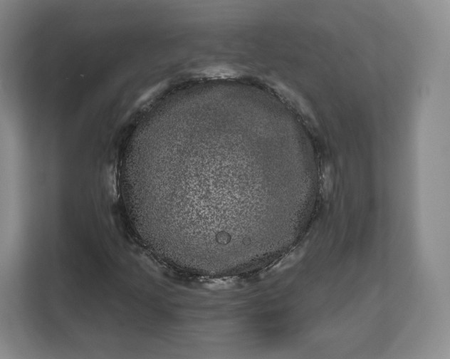 X0000111161205200907141354