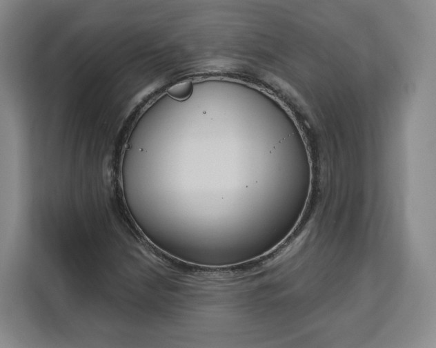 X0000111161210200907141354