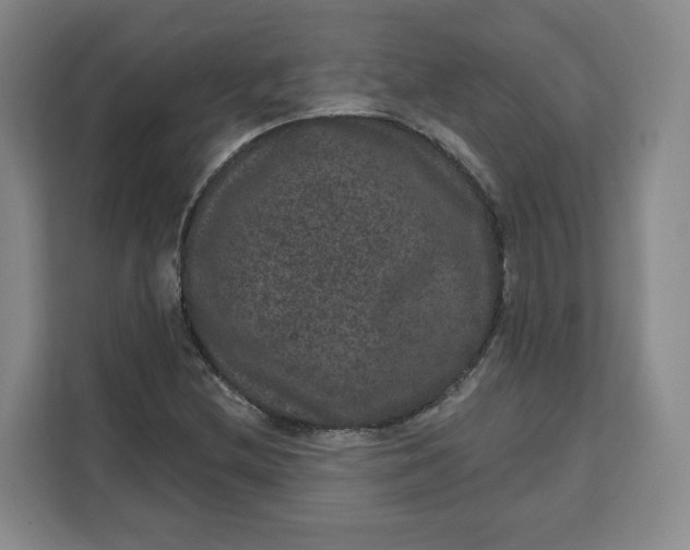 X0000111161212200907141354