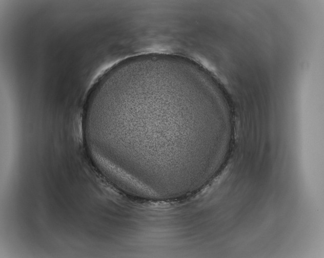 X0000111161214200907141354
