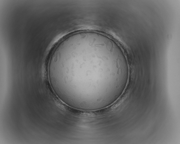 X0000111161215200907141354