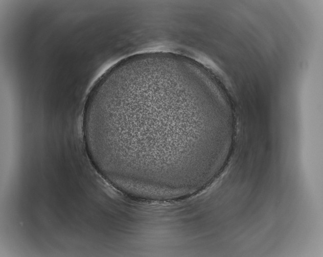 X0000111161216200907141355