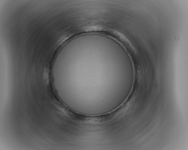 X0000111161217200907141355