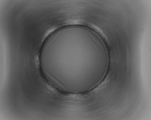 X0000111161218200907141355